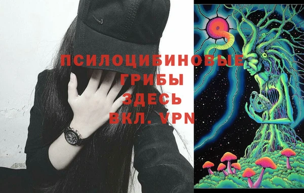 экстази Нязепетровск