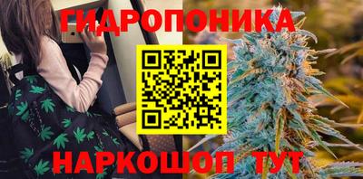 apvp Гусиноозёрск