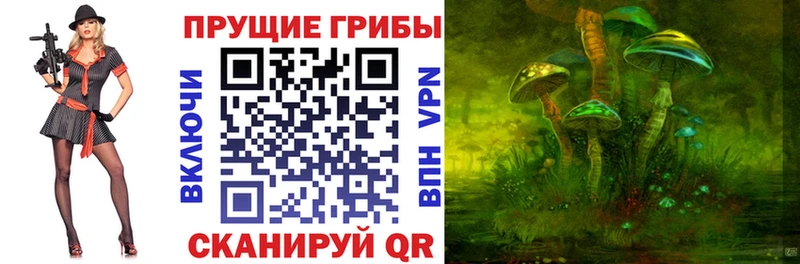 цены   Павловский Посад  Галлюциногенные грибы ЛСД 