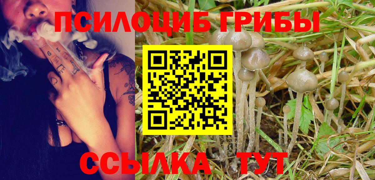 Павловский Посад  Галлюциногенные грибы Psilocybine cubensis  купить закладку  Вход с VPN 